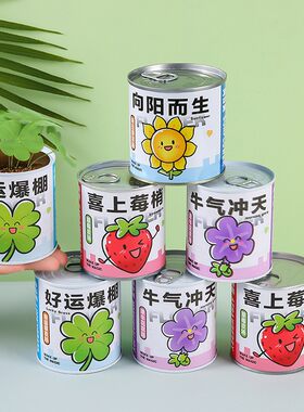 网红罐装种植小盆栽办公室迷你桌面绿植室内儿童盲盒易拉罐盆栽礼