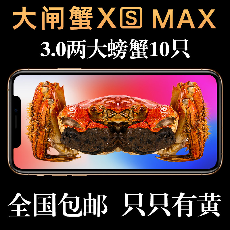 大闸蟹鲜活特大螃蟹全公母蟹3.5两现货礼盒六月黄阳澄湖镇发10只|ruв категории водной мясо/свежие фрукты и овощи/еда, морепродукты/водные продукты/изделия, краб, краб - от Buy2taobao.com для оказания профессиональной услуги покупки агента Taobao