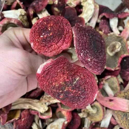 红菇干货新货500g福建