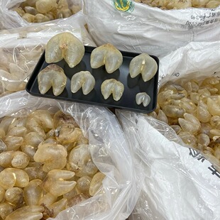 鸡泡胶花胶鱼胶干刺龟胶养宫备孕月子鱼胶增厚内膜调理子宫生仔胶