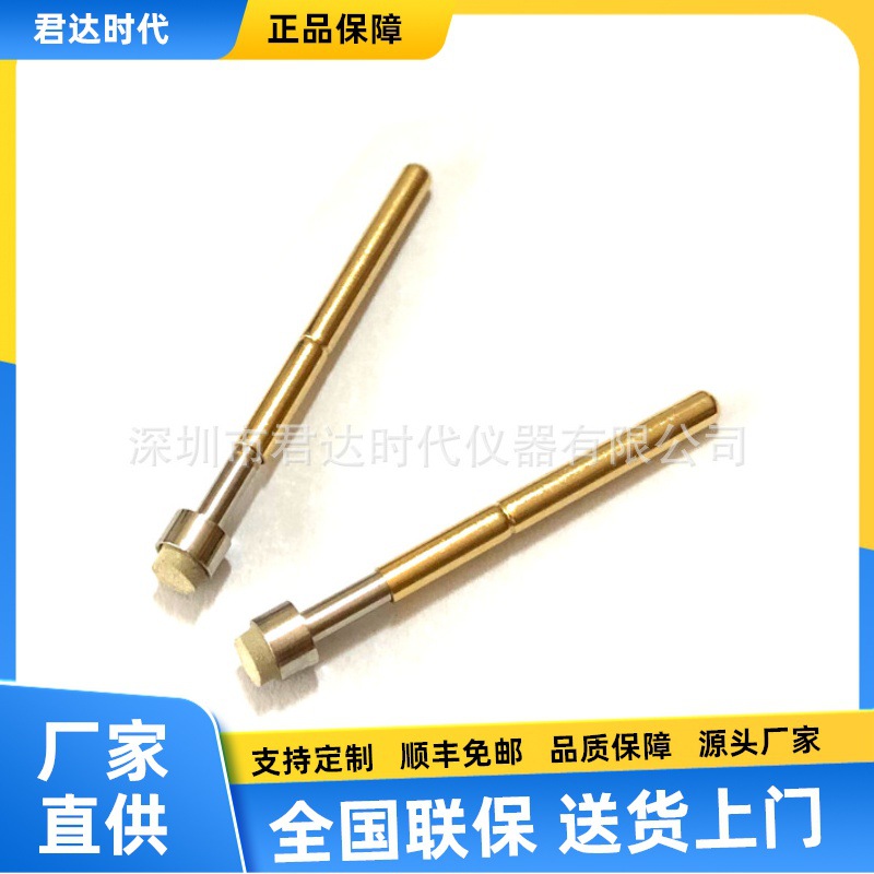 REM001P探针,两点电极的