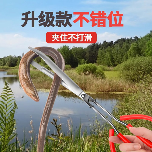 加厚防滑脱不锈钢黄鳝夹