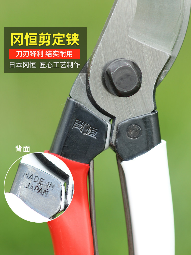 冈恒剪刀冈恒日本修枝剪果树剪园艺剪刀果园园林定铗原装进口剪修