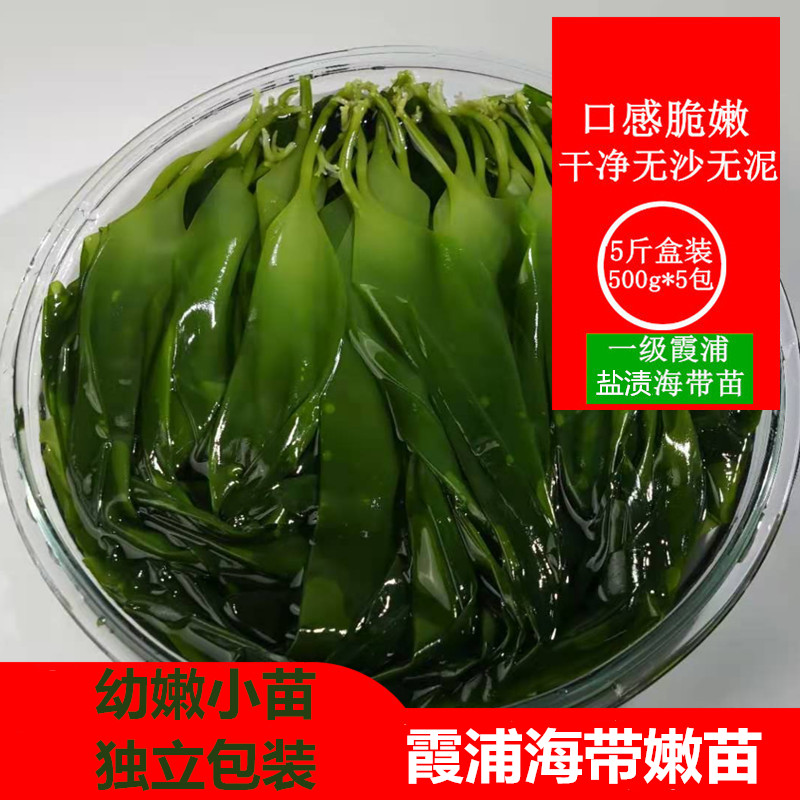 5斤|2斤霞浦海带嫩苗新鲜盐渍小海带芽嫩苗非干货火锅食材批发|ruв категории водной мясо/свежие фрукты и овощи/еда, морепродукты/водные продукты/изделия, водоросли, ламинария - от Buy2taobao.com для оказания профессиональной услуги покупки агента Taobao