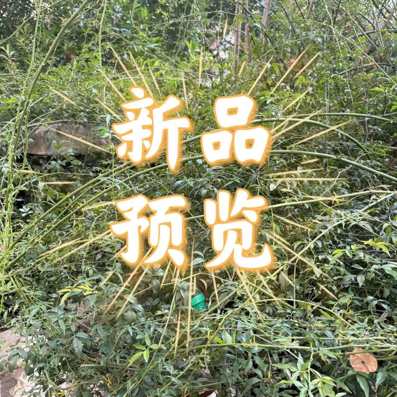 新品次抛护肤品预览链接