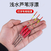 高灵敏浅水鱼漂草洞漂小白条浮漂短尾漂醒目加粗高灵敏纳米浮漂标