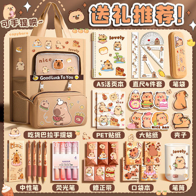 卡皮巴拉补习袋手提袋补课包帆布