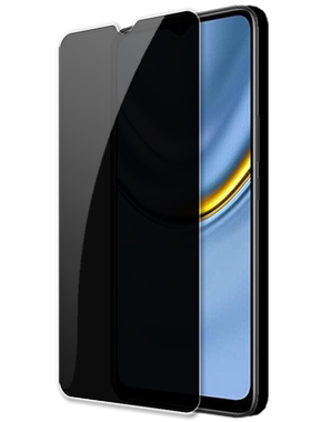 适用荣耀畅玩20Pro4G防窥钢化膜