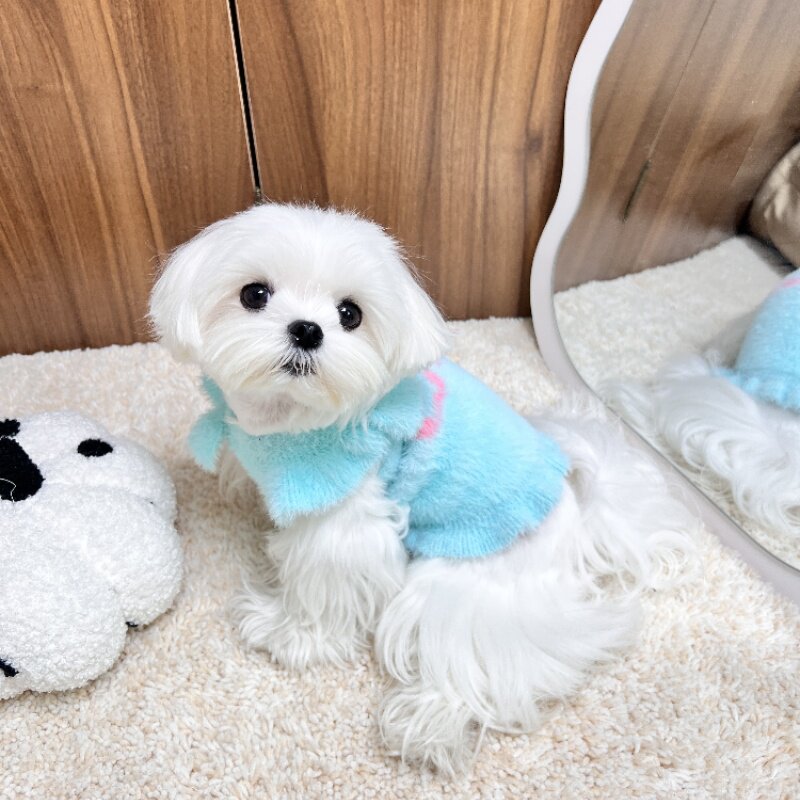 狗狗秋冬水貂绒吊带衣服中小型约克夏马尔济斯比熊博美猫咪保暖衣