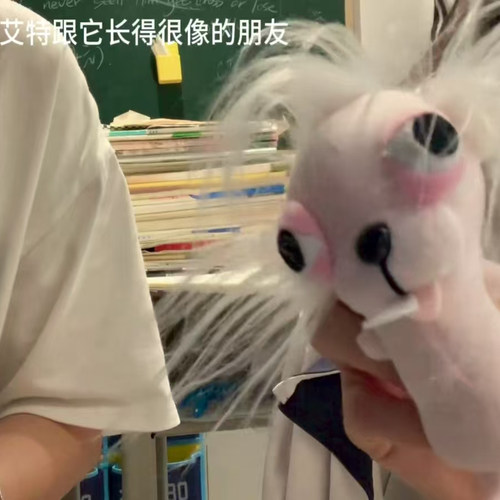 吉娃娃毛绒玩具公仔生日礼物女生节日礼物公仔挂件