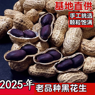 黑花生带壳富硒2025年新鲜晒干原味可种植种子米非红皮农家包邮