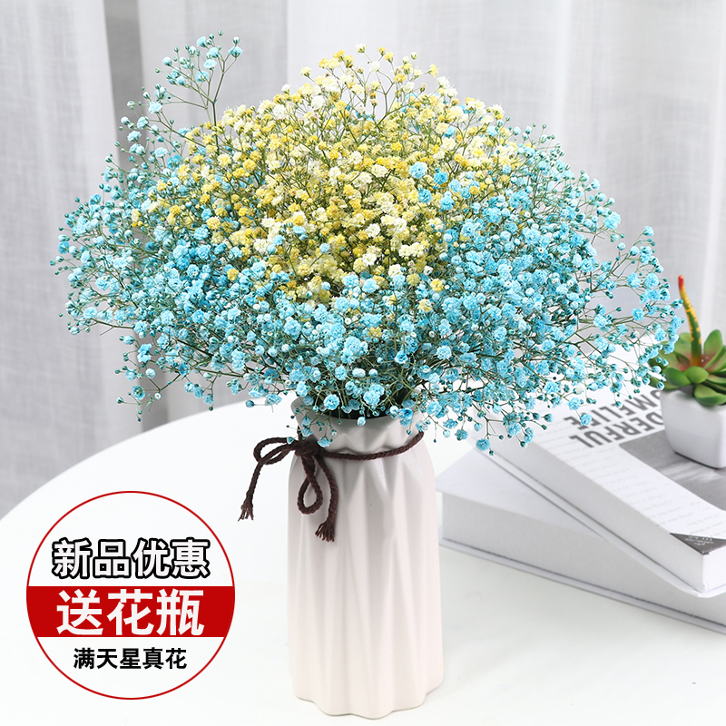 滿天星幹花花束家居擺設小清新帶花瓶真花永生花束天然裝飾插花在類目 鮮花速遞/花卉仿真/綠植園藝, 永生花/乾花, 乾花中 - 來自Buy2taobao.com提供專業的淘寶代購服務