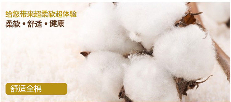 Pads pour soutien-gorge - Ref 815531 Image 5