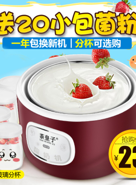 小型酸奶机全自动家用自制迷你宿舍单人发酵机多功能分杯纳豆米酒
