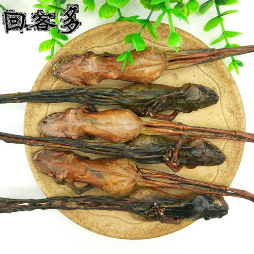 整只大型雪蛤干林蛙干长白山