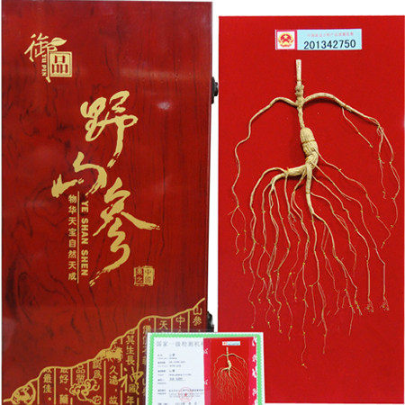 带证书上网可查木盒礼盒高龄林下山参可送礼