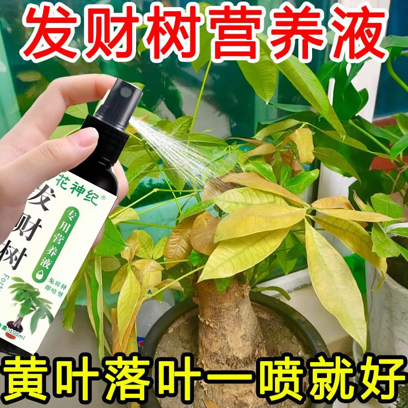 营养液植物通用型养花发财树绿植