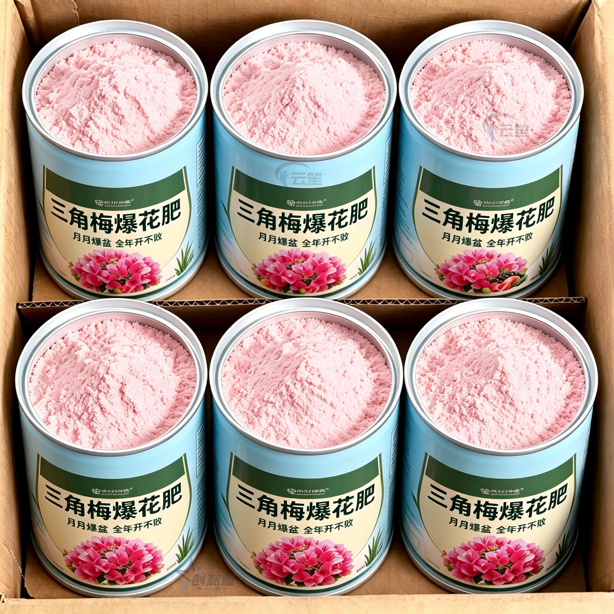 三角梅快速开花【开花粉】通用型