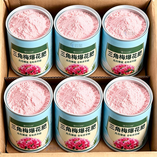 三角梅快速开花【开花粉】通用型