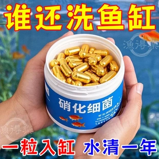 硝化细菌鱼缸用专用胶囊净水剂颗粒活菌干粉水质稳定净化水族鱼用