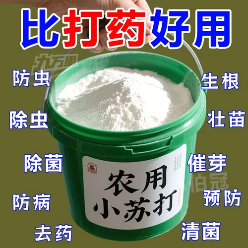农业小苏打杀菌增产驱虫蔬菜绿植