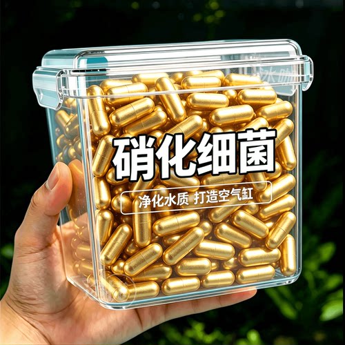 鱼缸硝化菌胶囊分解粪便稳水质