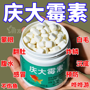 庆大霉素鱼病通用温和养护三合一