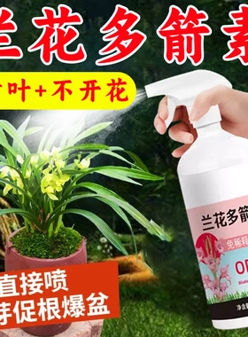 兰花专用肥兰花生根营养液爆根催根促苞防枯萎不开花通用有机肥料