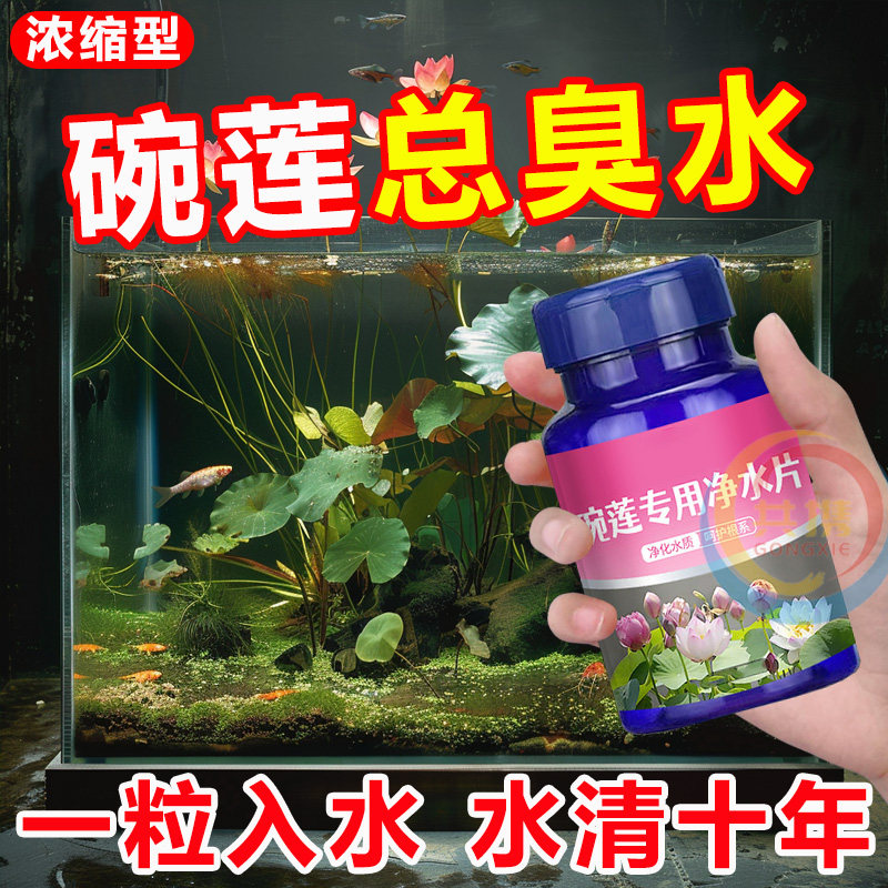 碗莲荷花净水片催芽睡莲开花黄叶叶面黑烂叶增肥水培绿植专用通用