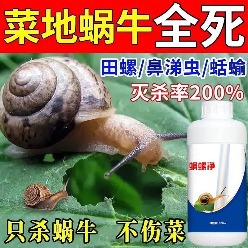 蜗螺净软体组织害虫蔬菜农田助剂