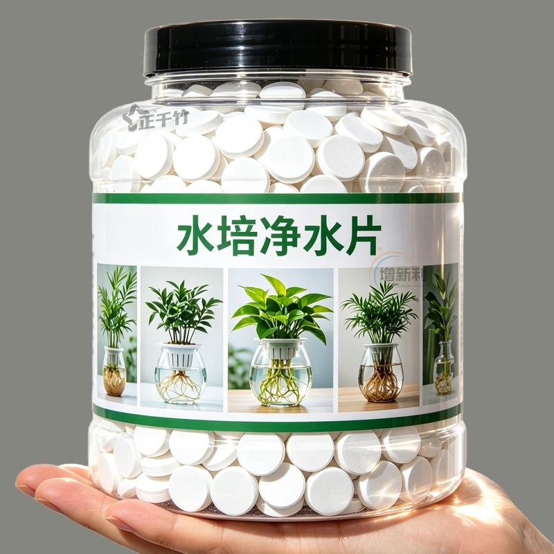 富贵竹水培净水片除臭黄叶