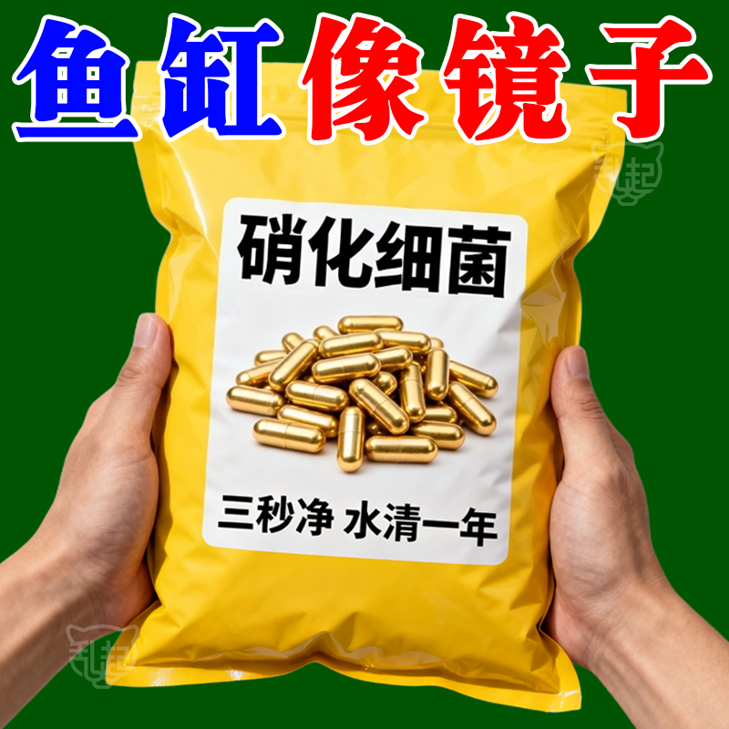 硝化细菌胶囊#养鱼养水杀菌通用