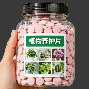 【一片植物猛涨】植物养护片缓释型肥料片氮磷钾绿植种花养花家用