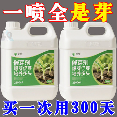 【新芽猛长】老桩催芽剂促芽僵苗