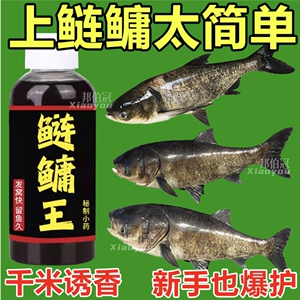 鲢鳙小药鲢鱼花鲢白鲢大头鱼饵料野钓水库鱼饵胖头鱼方块窝料酸臭