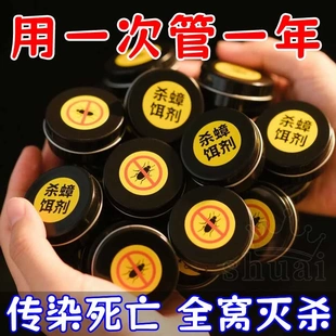蟑螂药家用神器一窝餐厅端饭店非无毒克星灭除杀蟑胶饵剂蟑螂药