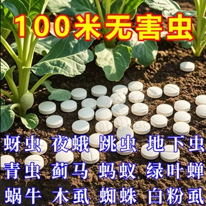 园艺防虫片糖化硼肥片防虫颗粒剂花卉绿植盆栽植物菜地除虫防烂根