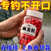 釣魚小麥粒血麥餌料釣魚餌野釣鯽魚鯉魚草魚四季通殺紅蟲顆粒釣餌