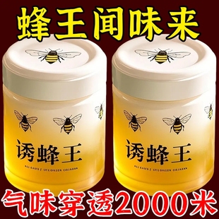 强效诱蜂液蜂王防逃器新手诱蜂专用蜂蜡诱蜂用收蜂正品蜜蜂用具