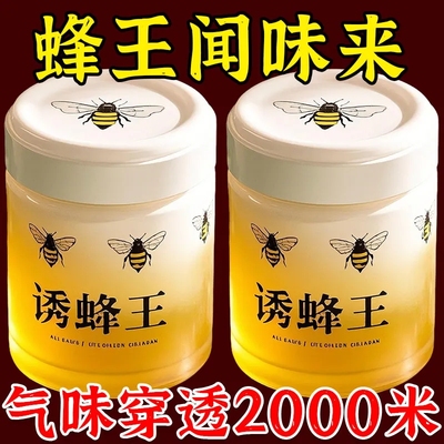 强效诱蜂液蜂王防逃器新手诱蜂专用蜂蜡诱蜂用收蜂正品蜜蜂用具