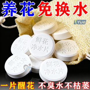 鲜花保鲜消毒片水培植物专用净水片富贵竹碗莲净水保鲜花卉保鲜剂