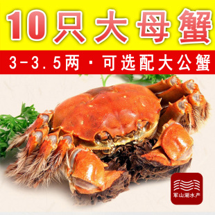 南昌军山湖大闸蟹10只3-3.5全母大闸蟹螃蟹礼盒装鲜活螃蟹顺丰