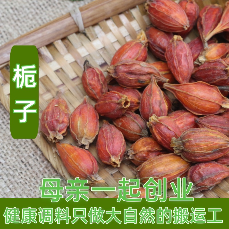 6件包邮 材栀子生栀子黄栀子枝子山栀子花茶50g