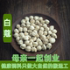 本色白豆蔻 正宗白蔻 无硫磺香料调料50g 包邮 任意6件