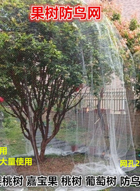 果树专用防鸟网樱桃树葡萄蔬菜防护罩尼龙网网罩果子防鸟网子