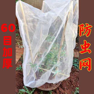 果树防虫网罩网袋防虫网抗老化蓝莓樱桃蔬菜绿植拉链防鸟网防虫子