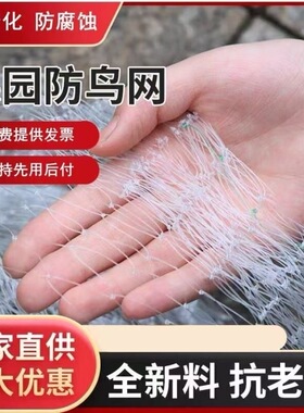 农用果园防鸟用网果树樱桃葡萄农田家用养殖稻谷大棚防护全新天网