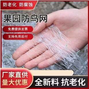 农用果园防鸟用网果树樱桃葡萄农田家用养殖稻谷大棚防护全新天网