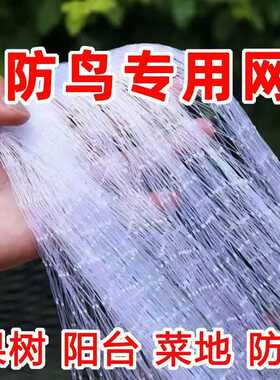 防鸟网果园防鸟网葡萄樱桃防鸟果树防鸟用网防鸟罩全罩果园防