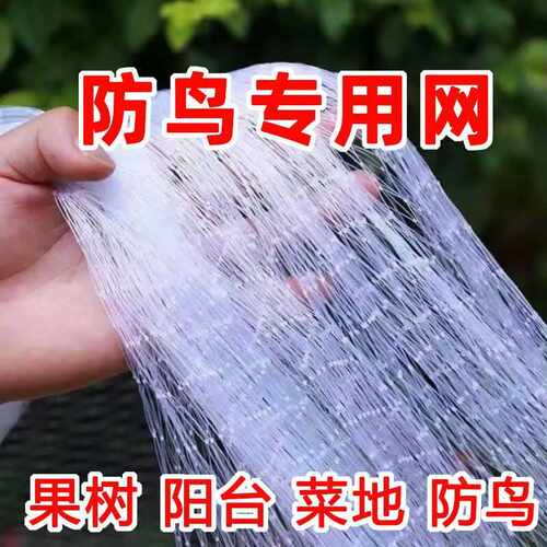 防鸟网果园防鸟网葡萄樱桃